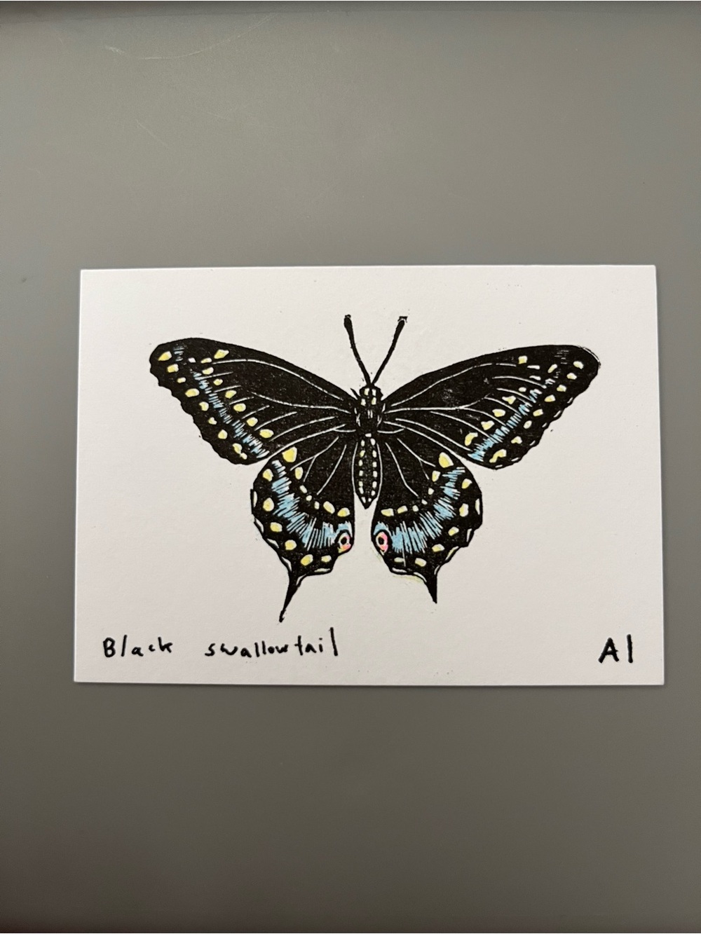 Ana Inciardi Mini Print - Black Swallowtail